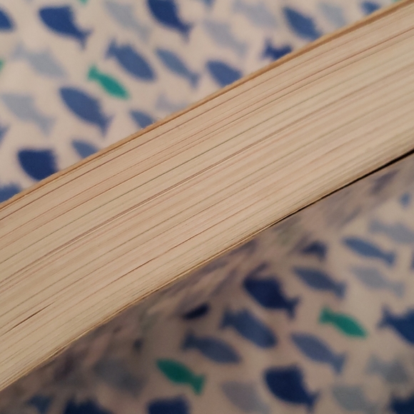 Photoshop Elements 4 - Picture 4 of 12